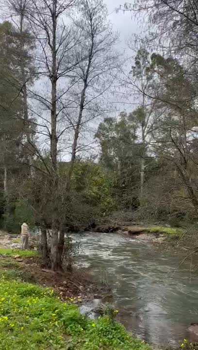 Inner Transformation